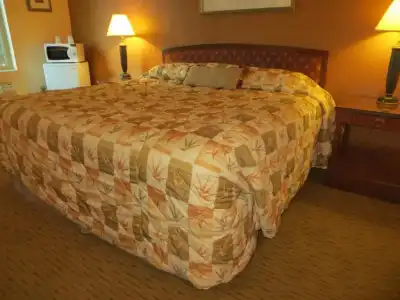 Cameo Motel - Portland - 28