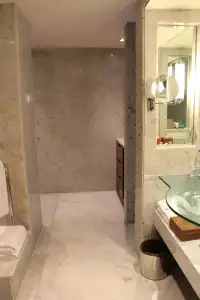 Hyatt Regency Kolkata - 8