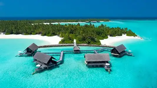 One&Only Reethi Rah Resort - 35