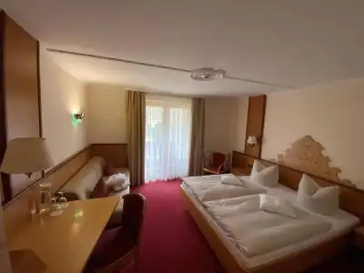 Deva Alpenhof - 40