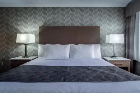 Monte Carlo Inn Toronto - Markham - 63