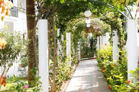 Cala Dor - Adults Only - 18