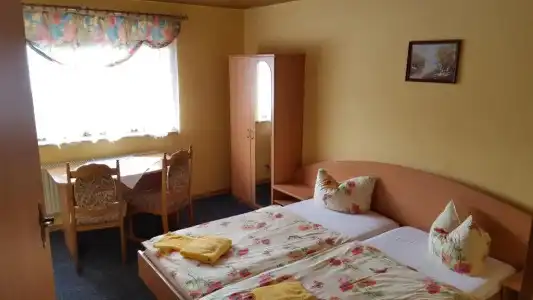 Pension Hubertushof Freiberg - 16