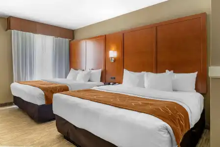 Comfort Suites University - 4