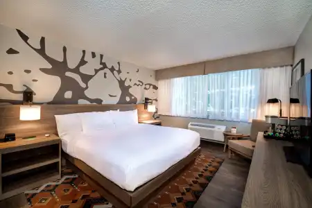 Holiday Inn Estes Park by IHG - 3