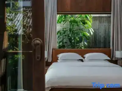 Oasis The Secret Luxury - 29