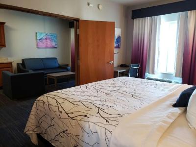 Best Western Plus San Antonio East Inn & Suites - 82