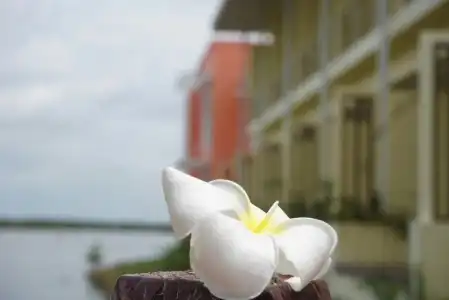 Baan Talay See Cream Resort - 31