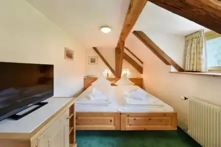Steinbock - 33