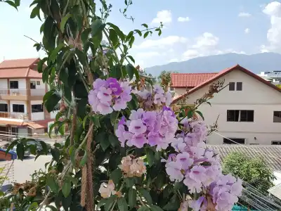 Bed and Terrace Guesthouse - 14