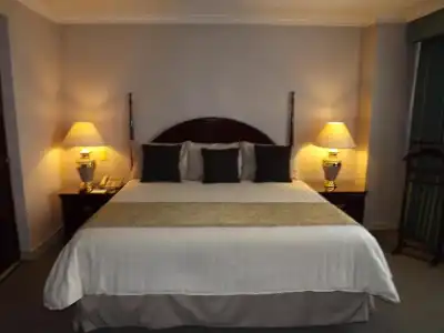 Pedregal Palace - 29
