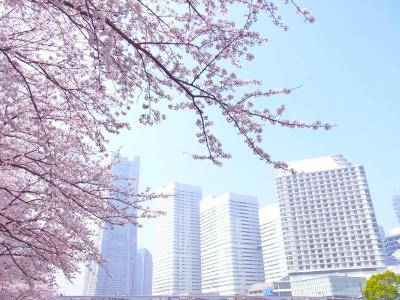 The Yokohama Bay Tokyu - 26
