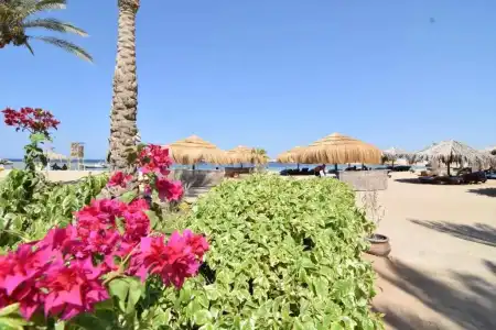 Sharm El Naga Resort and Diving Center - 17