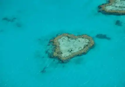 Whitsunday On The Beach - 2