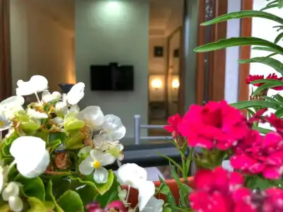 Guest House Alea - 35