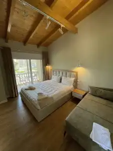 Arial Penthouse Suites - 118