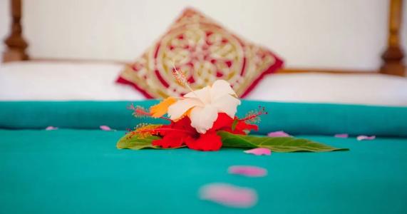 Flame Tree Cottages - 39