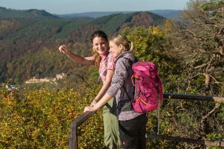 PANORAMA in Neustadt an der Weinstraße - 15