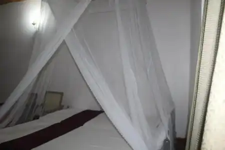The Best Hostel - 19