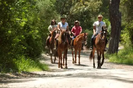 Beso Berke Ranch - 33