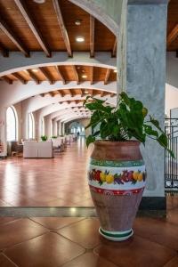 Al Balhara Resort & Spa - 14