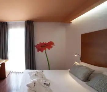 Petit Palace Plaza Malaga - 4