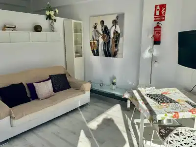 Skol Apartments Marbella - 84