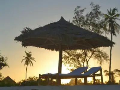 Nest Style Beach Zanzibar - 13
