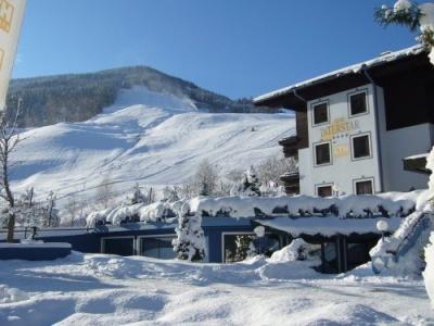 Saalbach Suites by ALPS RESORTS - 14