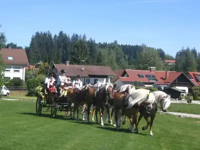 Haflingerhof - 14