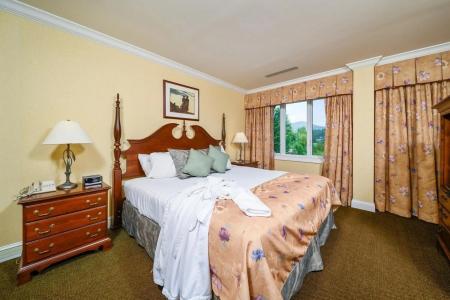 Stoweflake Mountain Resort & Spa - 15