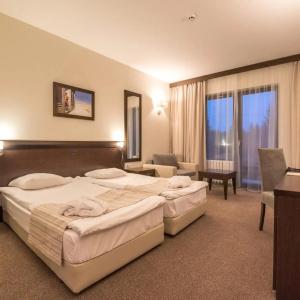 Lion Borovets - 31