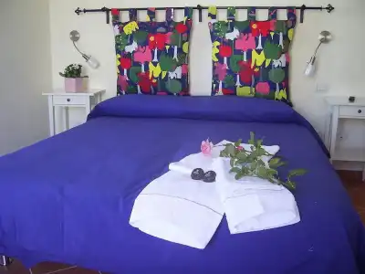 Casa Falcone B&B - 18