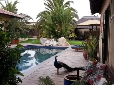 Gecko Ridge Guest House - 17