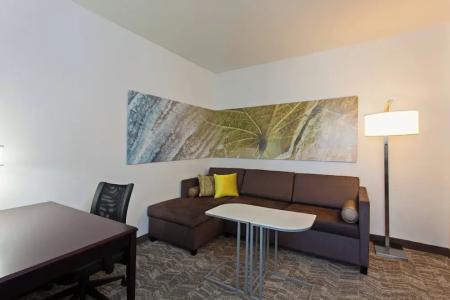SpringHill Suites El Paso - 44