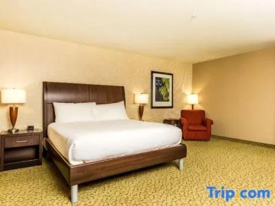 Hilton Garden Inn St. George - 62