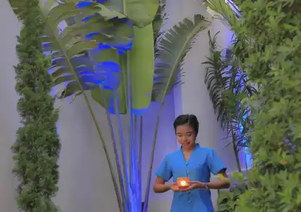Samui Blue Orchid - 22