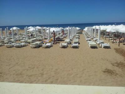 Delphin Apart - 15