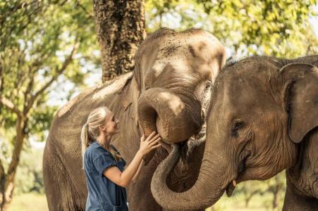 Anantara Golden Triangle Elephant Camp & Resort - 38