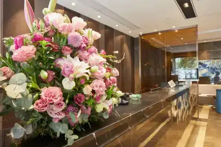 INSAIL (Shenzhen Dongmen Branch ) - 1
