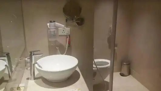 Marigold Jaipur - 55