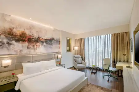 Radisson Mumbai Andheri MIDC - 17