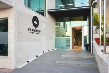 Flamingo - 0