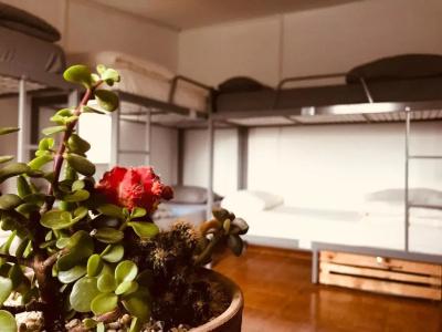 Al Yakhour Hostel - 23