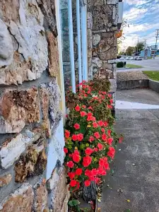 Homestead Motel - 36