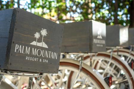 Palm Mountain Resort and Spa - 32