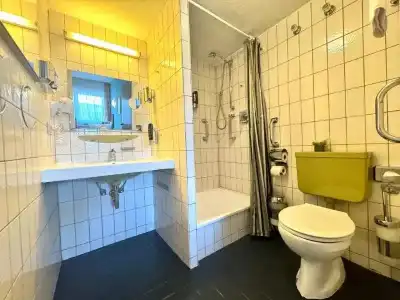 Löwen - Mannheim - 34