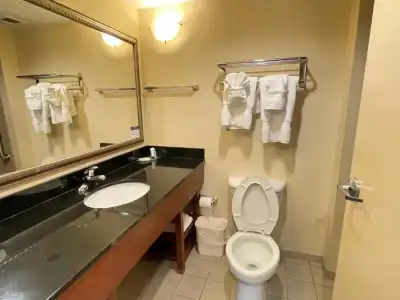 Comfort Suites Fredericksburg North - 92