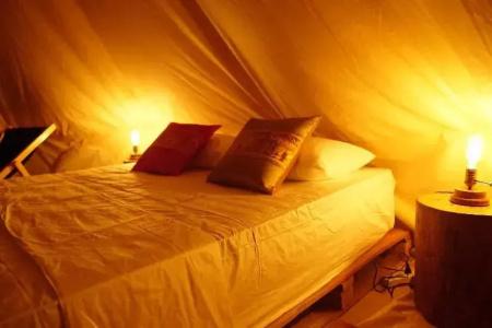 Roost Glamping - 45