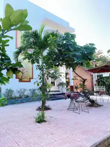 Hue Lotus Homestay - 52